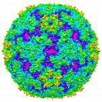 Enterovirus 71 Outbreak in Asia