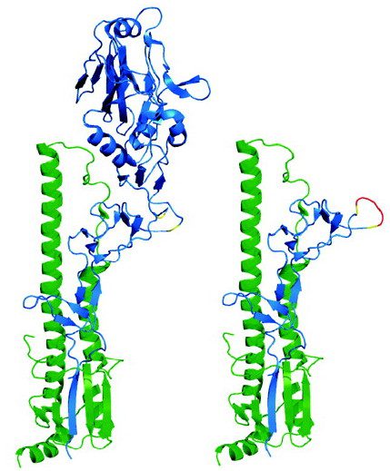 Headless HA: Universal influenza vaccine? | Virology Blog