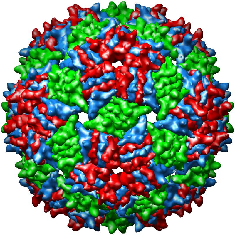 Norton Zinder, 19282012 Virology Blog
