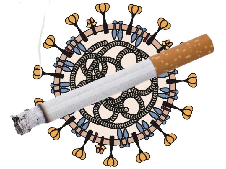 Cigarette smoke and COVID19 Virology Blog
